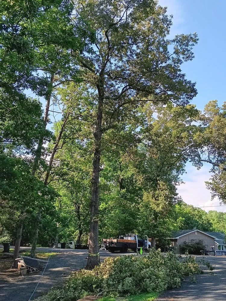 Custom residential landscaping with custom design across Albemarle, NC - B S Lawncare and Stump Grinding