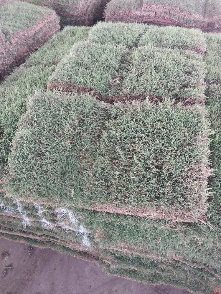 Expert landscaping services in Highlands, TX - B Scapes