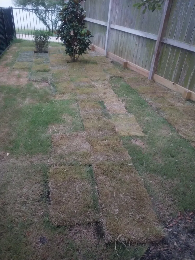 Local outdoor landscaping for year-round maintenance in Highlands, TX by B Scapes