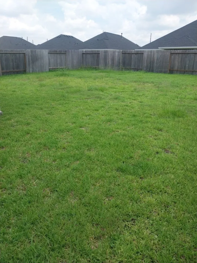 Trusted outdoor landscaping for outdoor upgrades across Highlands, TX - B Scapes