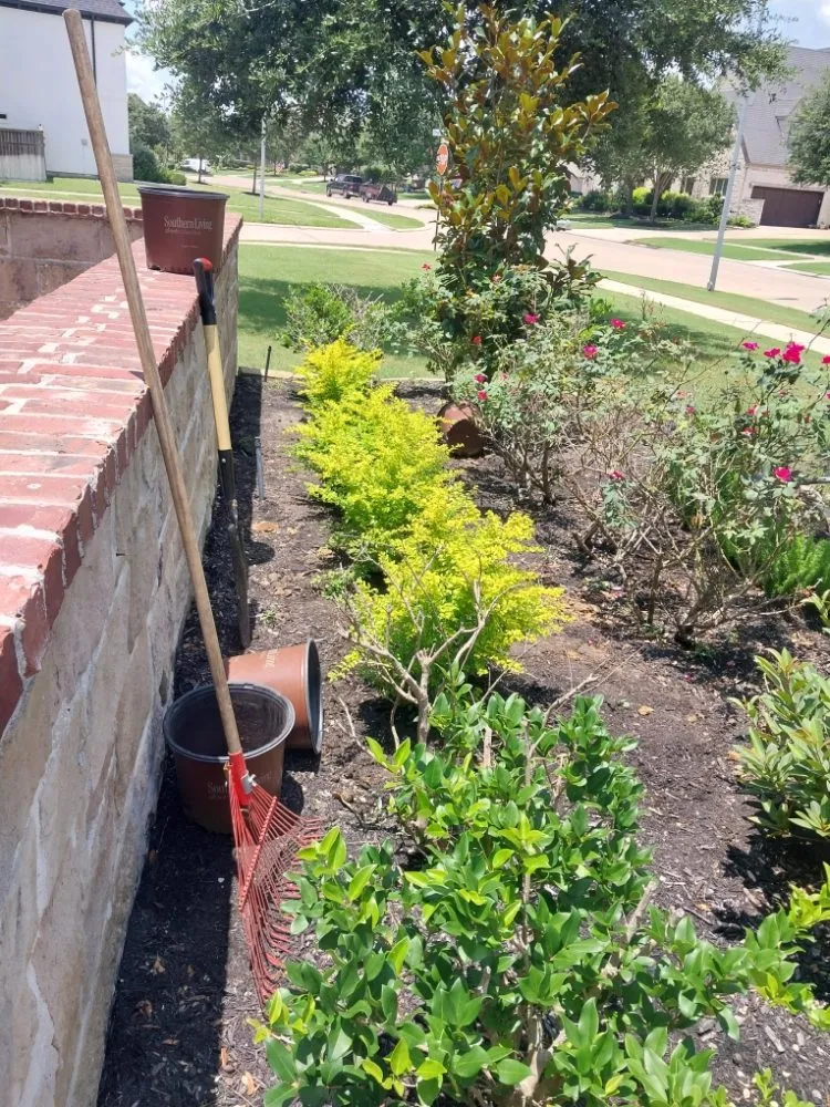 Reliable landscape installation experts serving Highlands, TX - B Scapes