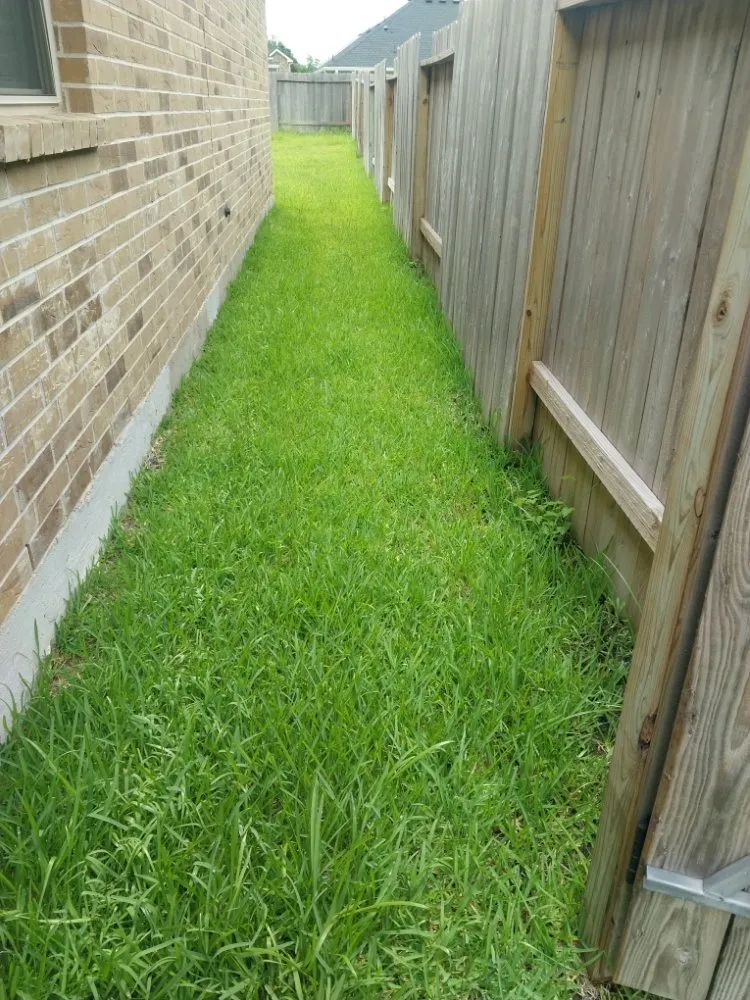 Affordable yard cleanup service in Highlands, TX - B Scapes