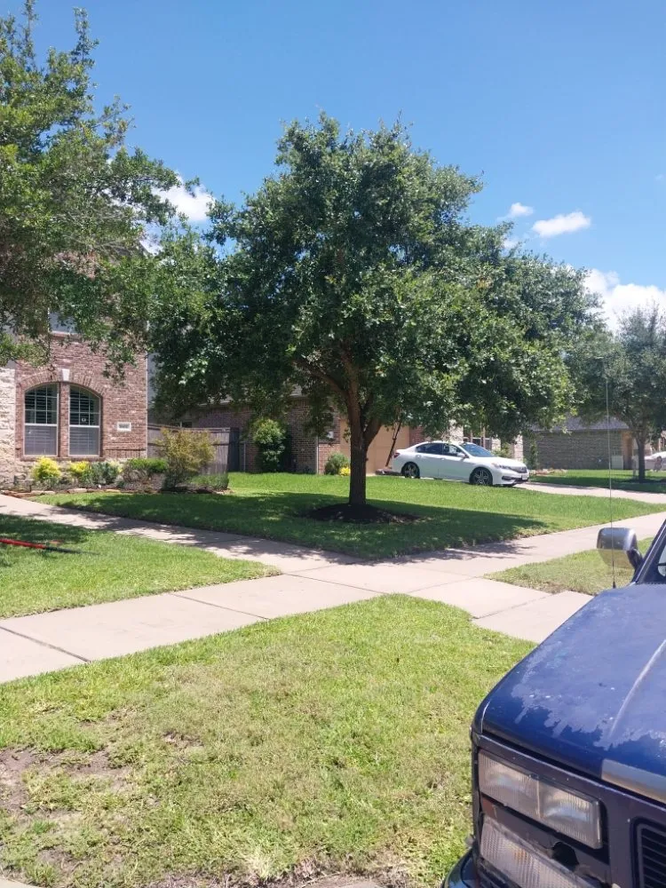 Affordable garden landscaping in Highlands, TX by B Scapes