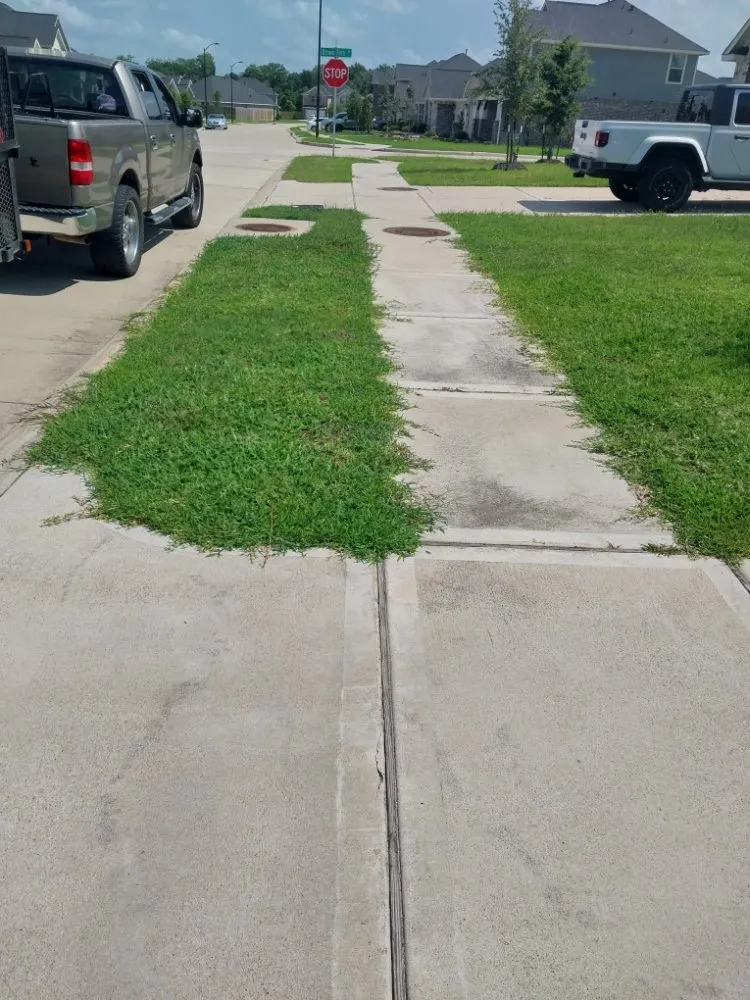 Local landscaping services for year-round maintenance in Highlands, TX by B Scapes