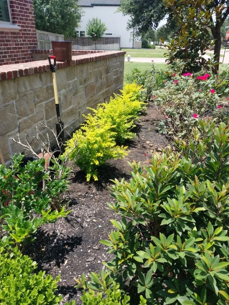 Custom landscape installation for homes in Highlands, TX by B Scapes