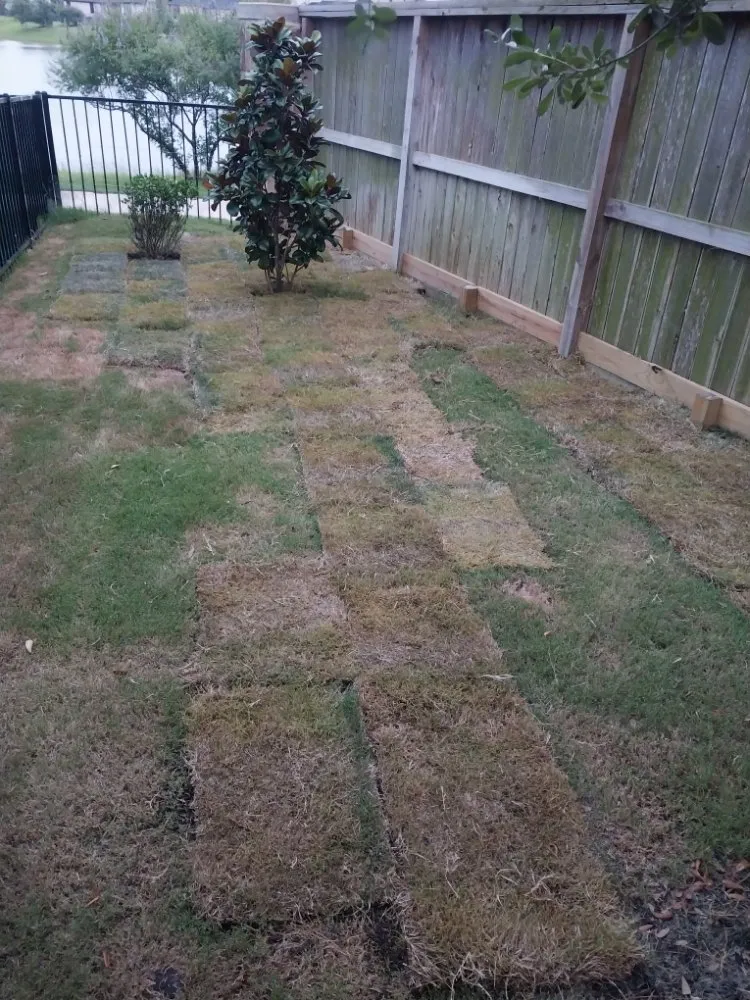 Custom landscape installation in Highlands, TX - B Scapes