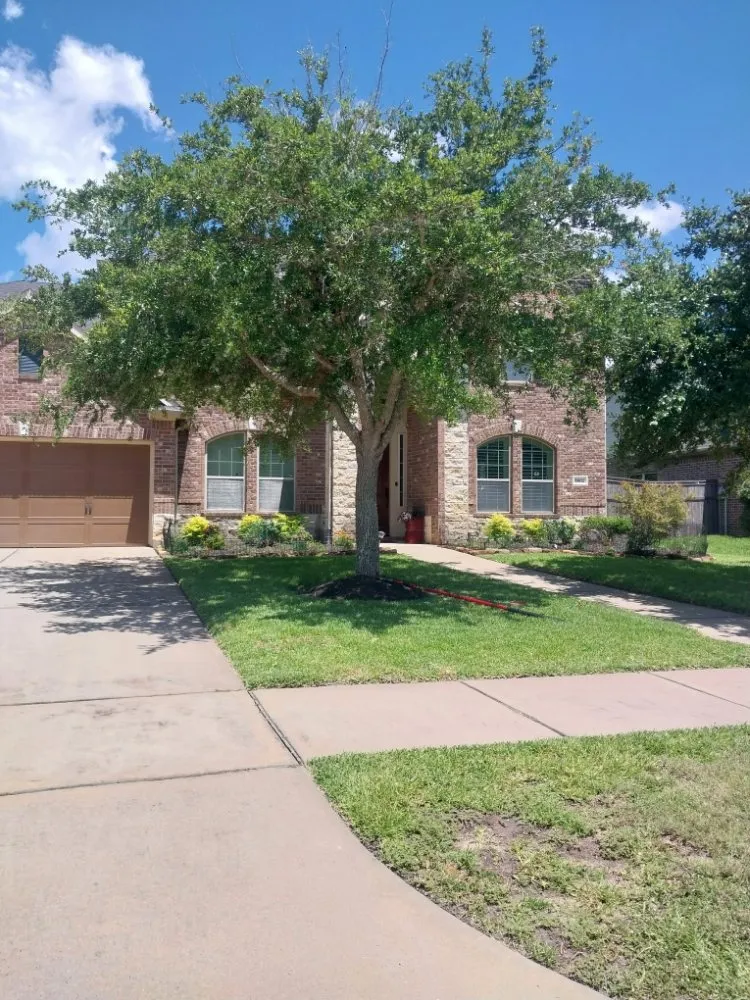 Trusted landscaping services for homes across Highlands, TX - B Scapes