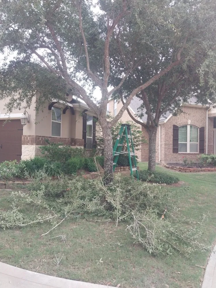 Professional yard cleanup service in Highlands, TX by B Scapes