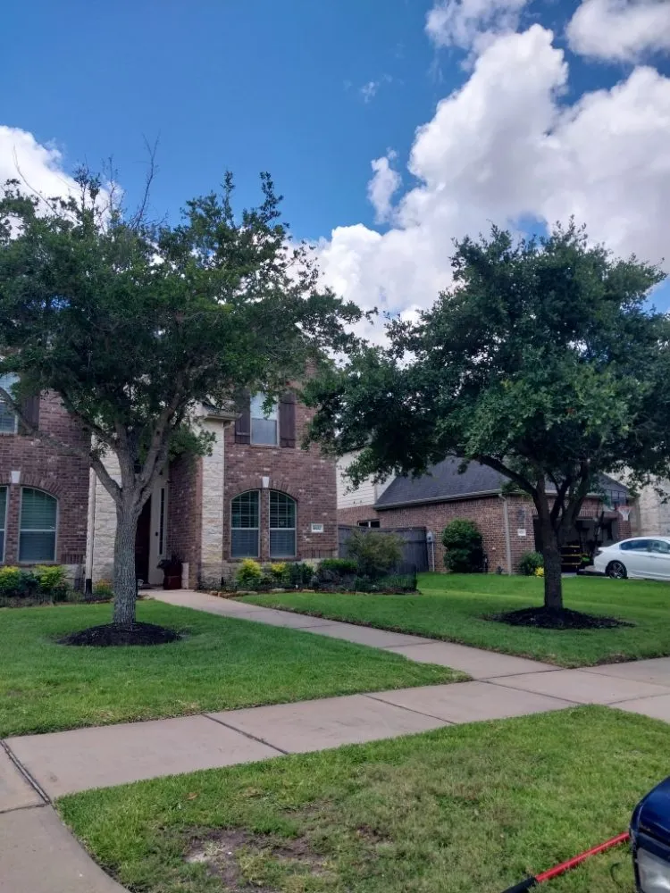 Affordable yard maintenance experts serving Highlands, TX - B Scapes