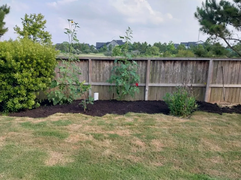 Affordable yard maintenance in Highlands, TX - B Scapes