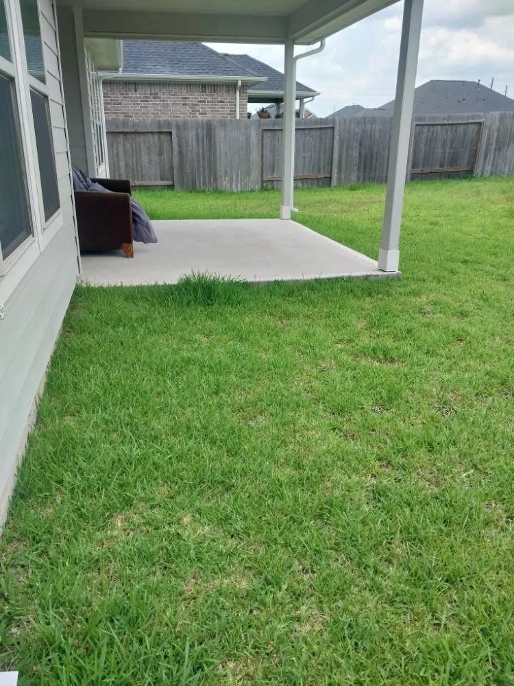 Professional outdoor landscaping in Highlands, TX - B Scapes