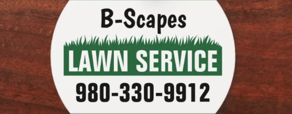 Top-rated yard cleanup service in Salisbury, NC by B-Scapes