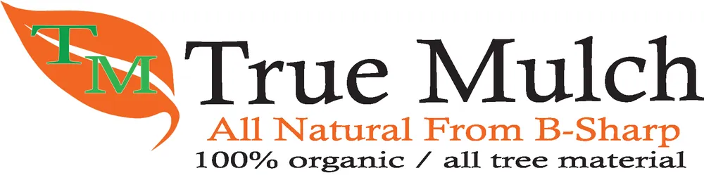 Custom yard cleanup service for residential properties across Clinton, OH - B-Sharp Property Maintenance