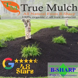 Professional lawn care service experts serving Clinton, OH - B-Sharp Property Maintenance