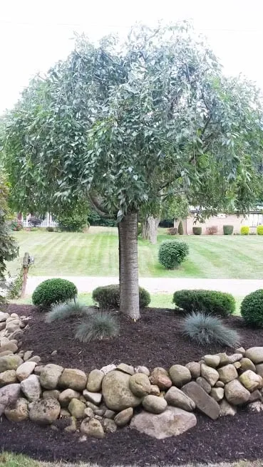 Top-rated landscape installation experts serving Clinton, OH - B-Sharp Property Maintenance