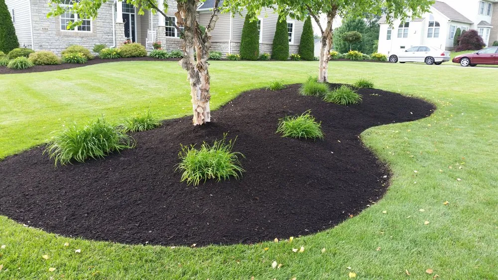 Reliable yard cleanup service in Clinton, OH by B-Sharp Property Maintenance