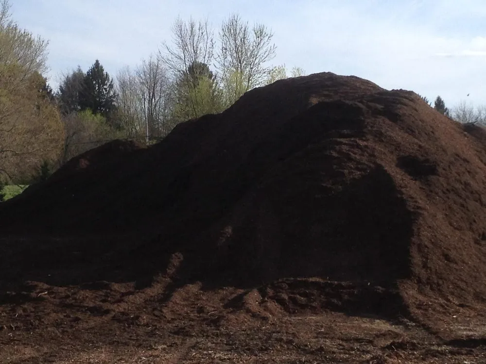 Local lawn care service for year-round maintenance in Clinton, OH by B-Sharp Property Maintenance