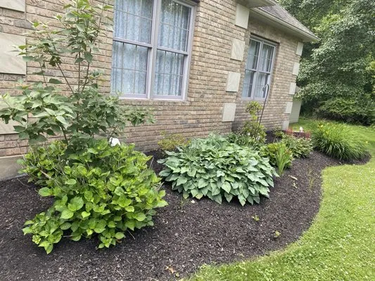 B-Sharp Property Maintenance