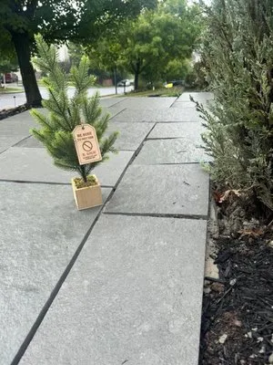 B Shur Hardscape and Landscape