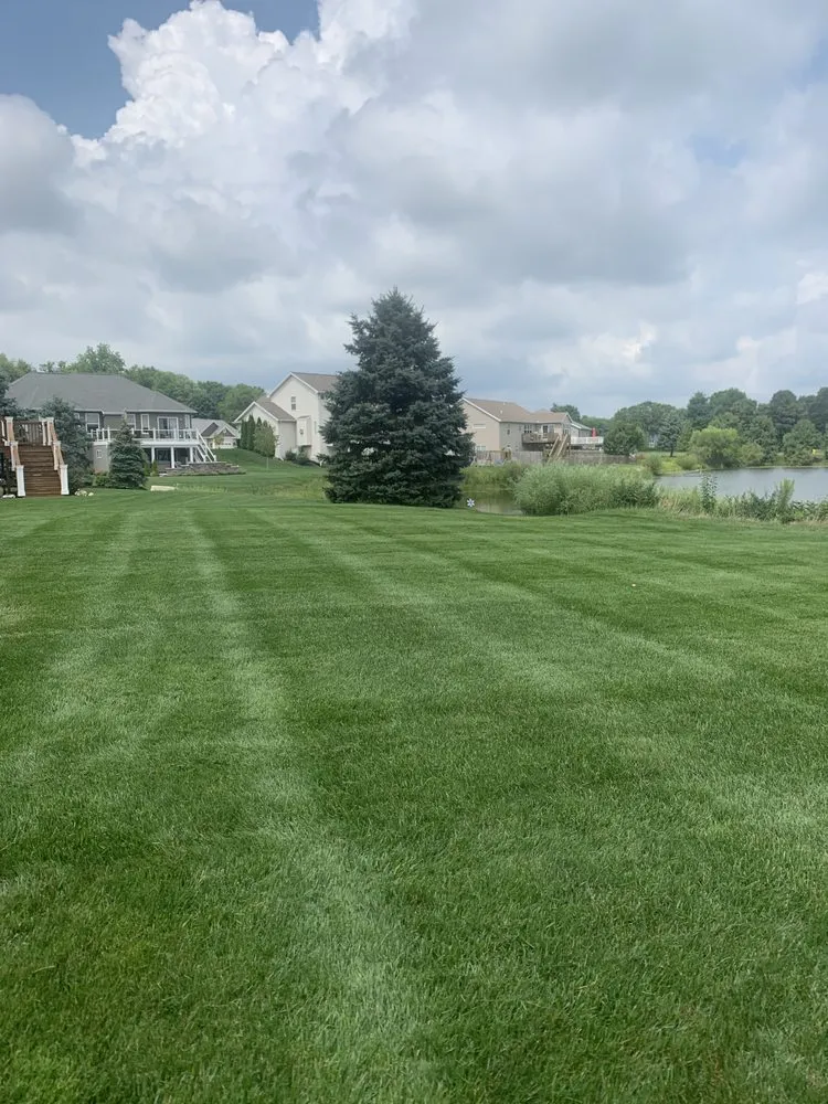 Trusted yard cleanup service for outdoor upgrades in Georgetown Township, MI by B Sink