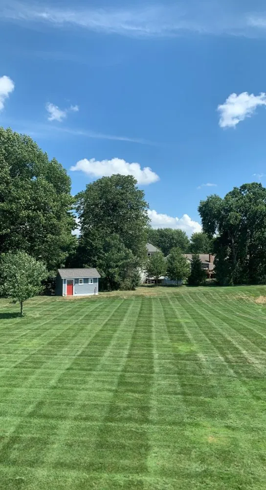 Affordable lawn mowing service for beautiful yards across Georgetown Township, MI - B Sink