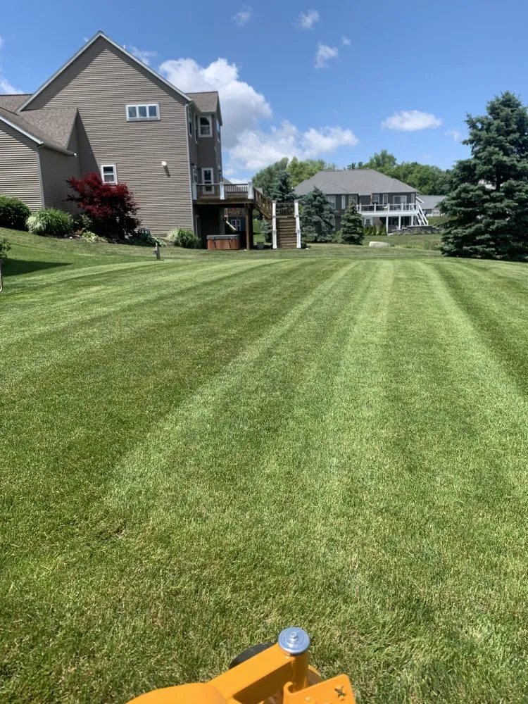 Trusted landscaping services in Georgetown Township, MI - B Sink