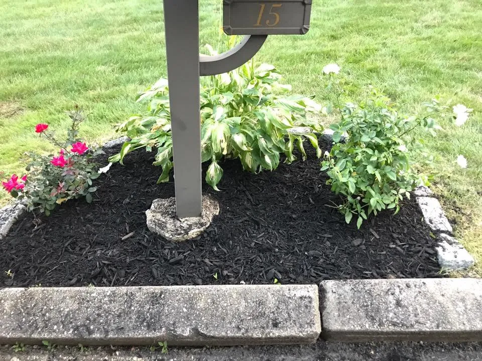 Top-rated outdoor landscaping for outdoor upgrades in Narragansett, RI by B Souza Horticultural