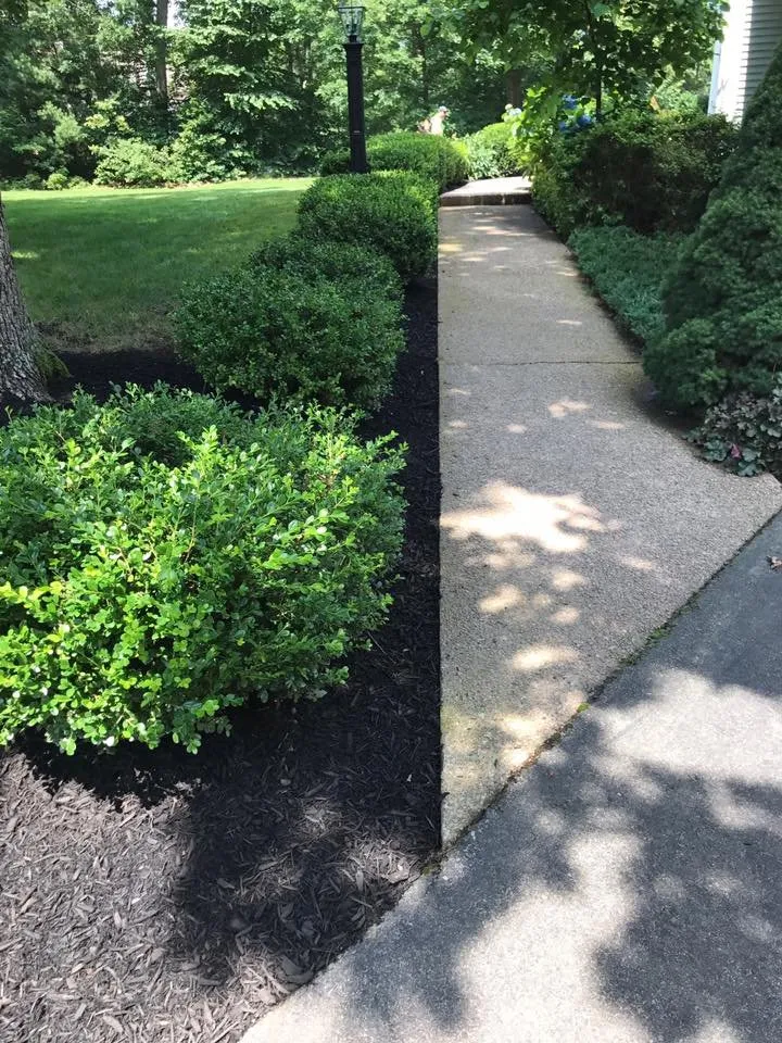 Local landscaping services in Narragansett, RI by B Souza Horticultural