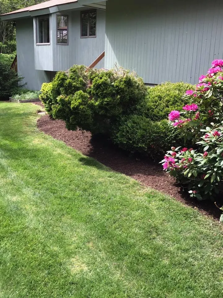 Professional yard cleanup service in Narragansett, RI - B Souza Horticultural