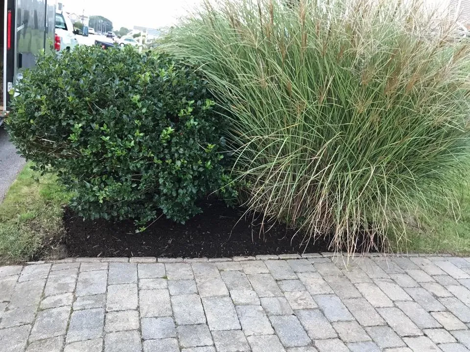 Top-rated lawn care service for homes across Narragansett, RI - B Souza Horticultural