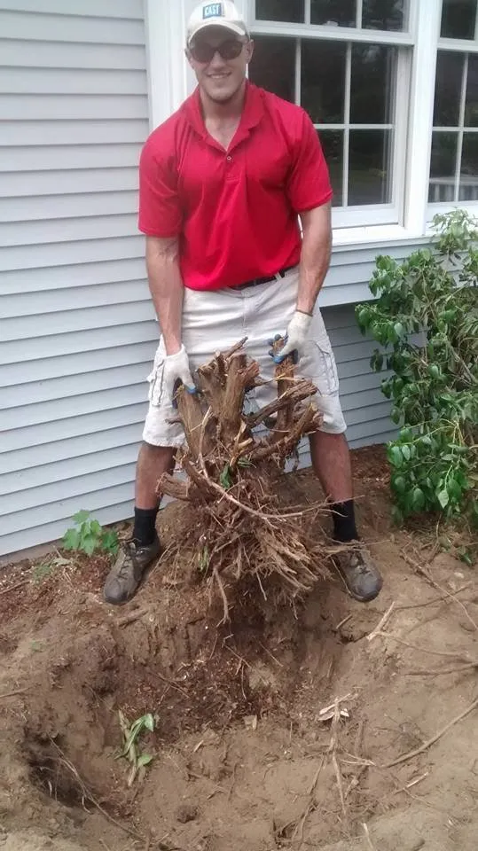 Top-rated lawn care service in Narragansett, RI by B Souza Horticultural