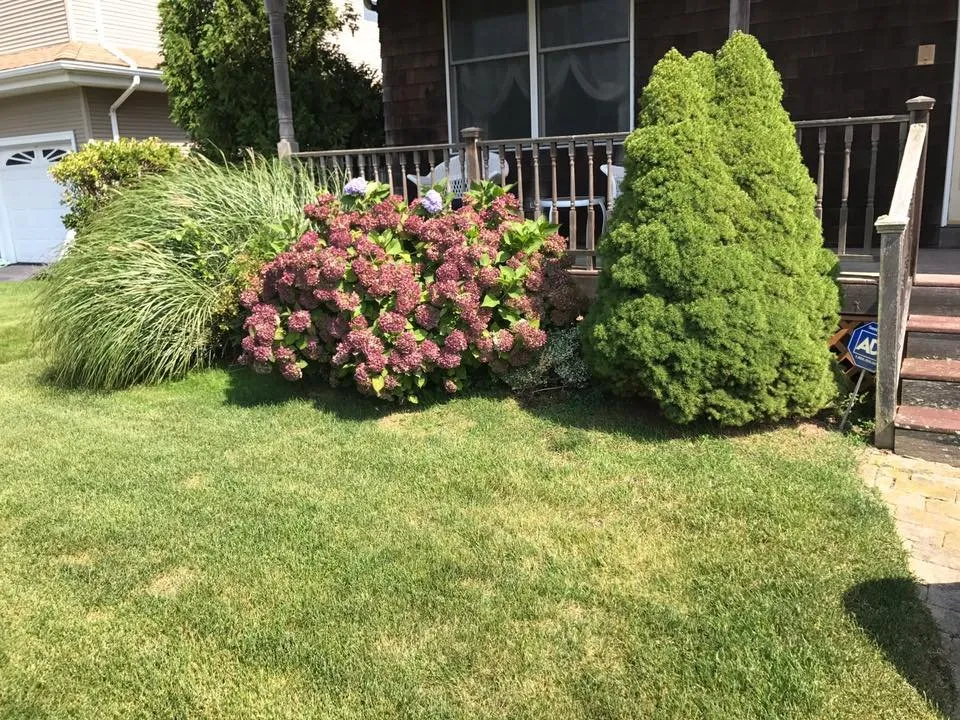 Local yard cleanup service with custom design in Narragansett, RI by B Souza Horticultural