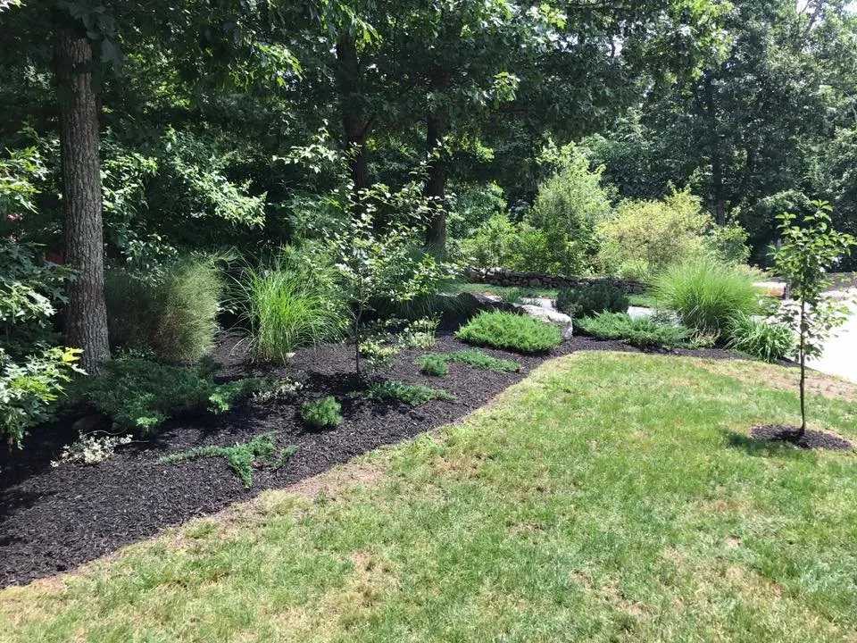 Local lawn care service experts serving Narragansett, RI - B Souza Horticultural