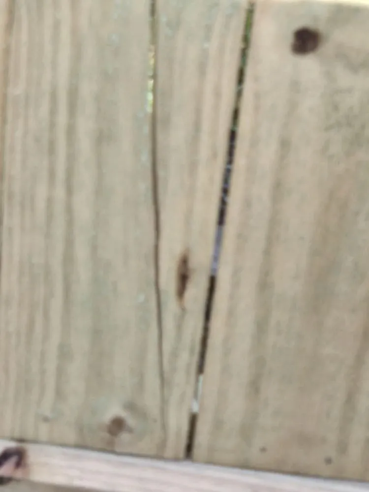 Reliable lawn care service in Angleton, TX - B Squared Fencing and Outdoors