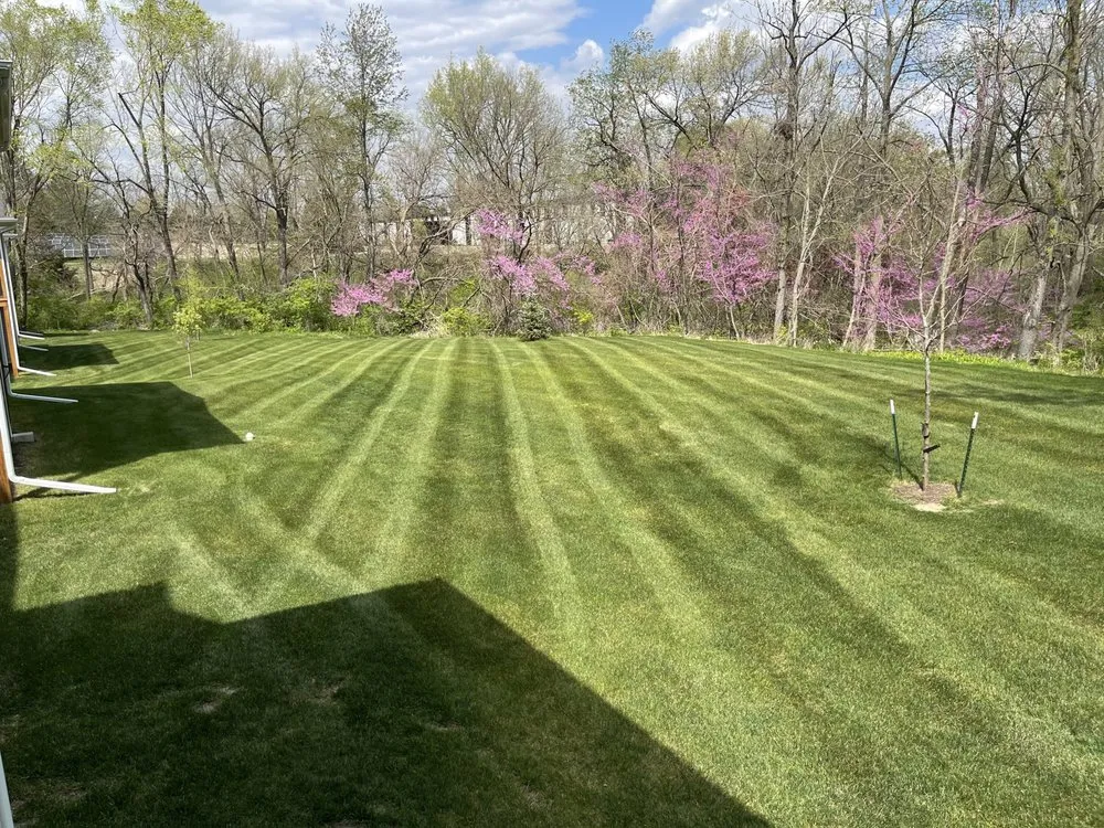 Reliable yard cleanup service in Coralville, IA - B Strong Lawn Care