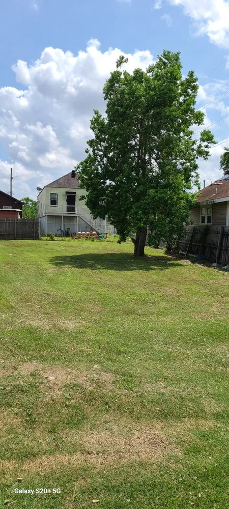 Custom outdoor landscaping for year-round maintenance across New Orleans, LA - B Unlimited