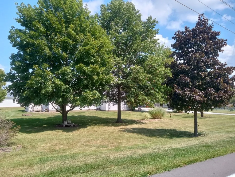 Top-rated landscape installation in Marion, IN - B W Contracting