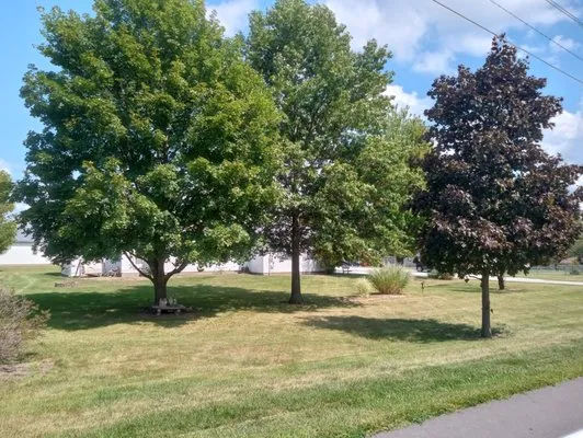 B W Contracting Logo