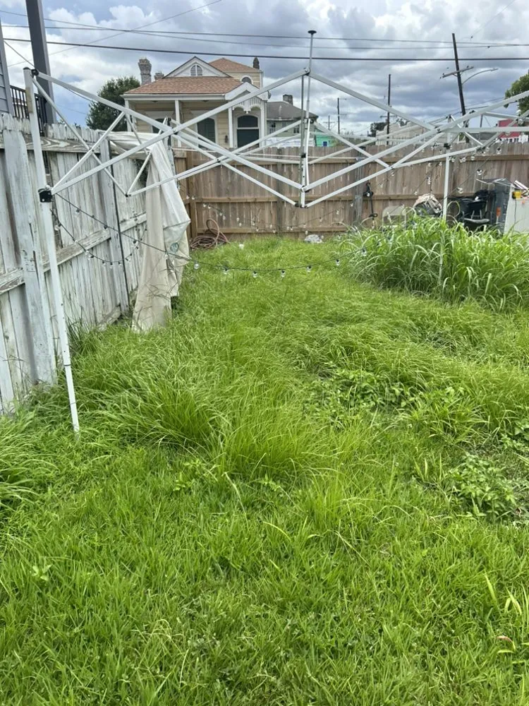 Local garden landscaping in New Orleans, LA - B Wells Landscaping