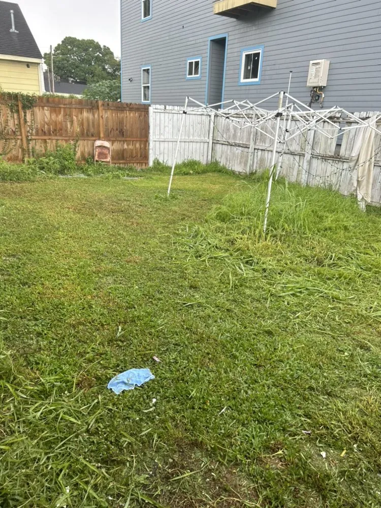 Trusted yard cleanup service with custom design in New Orleans, LA by B Wells Landscaping