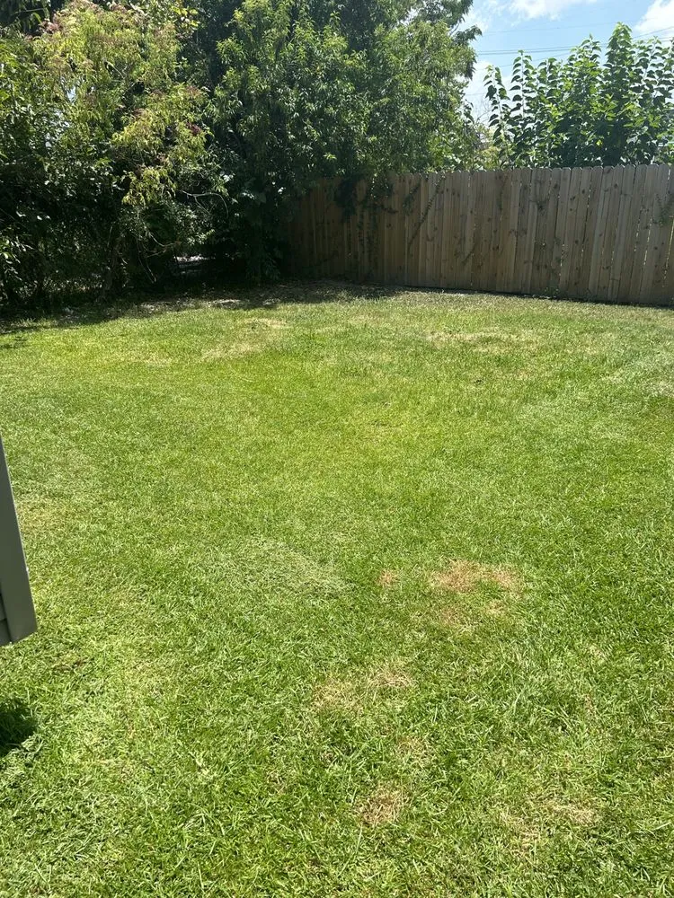 Trusted landscaping services with custom design across New Orleans, LA - B Wells Landscaping