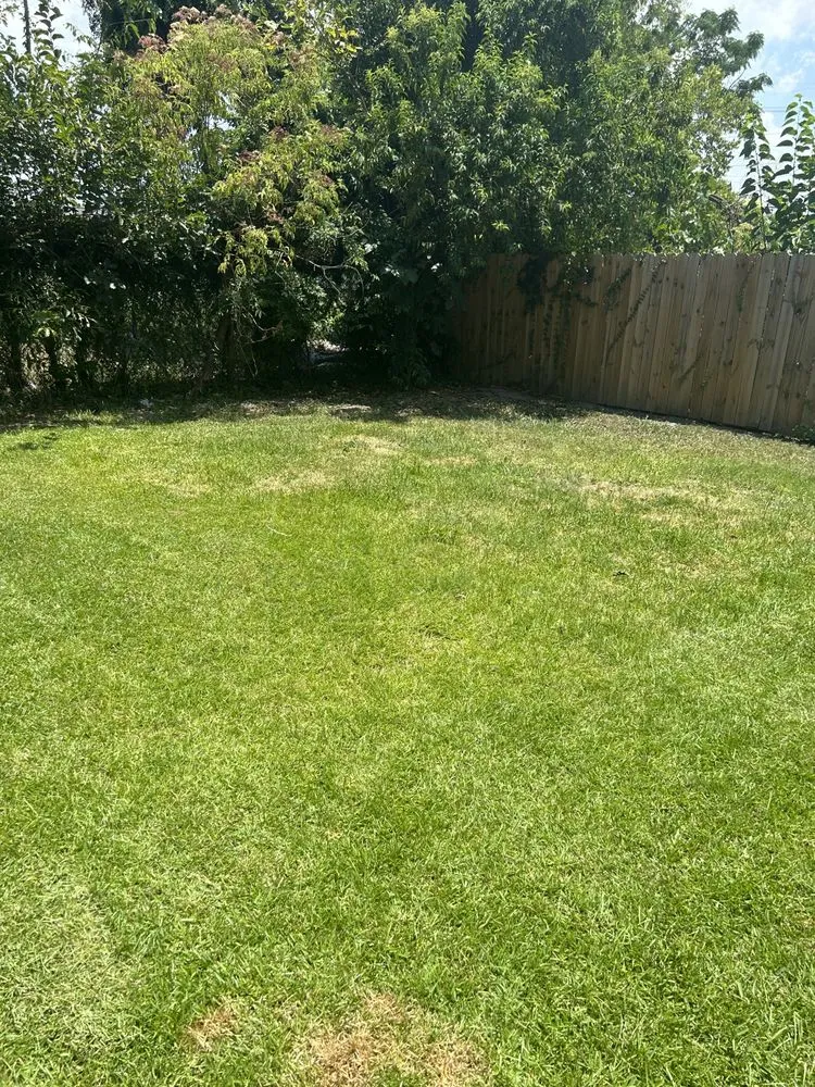 Expert residential landscaping with custom design across New Orleans, LA - B Wells Landscaping