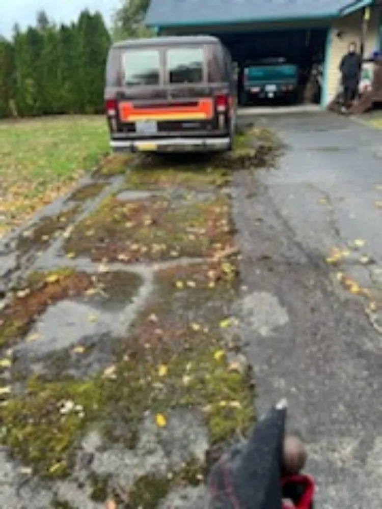 Custom residential landscaping for beautiful yards across Seattle, WA - B White Lawn Service