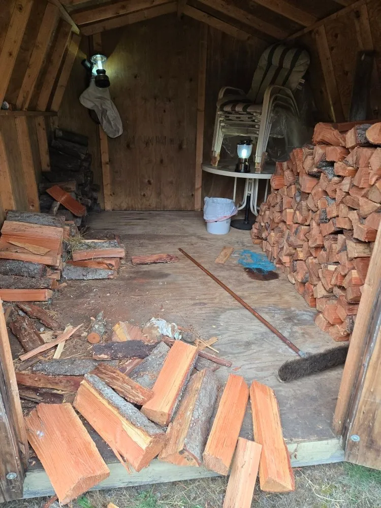 Custom yard maintenance for beautiful yards in Seattle, WA by B White Lawn Service