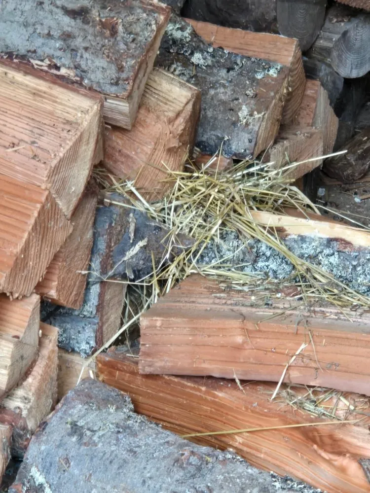 Expert lawn care service for homes across Seattle, WA - B White Lawn Service