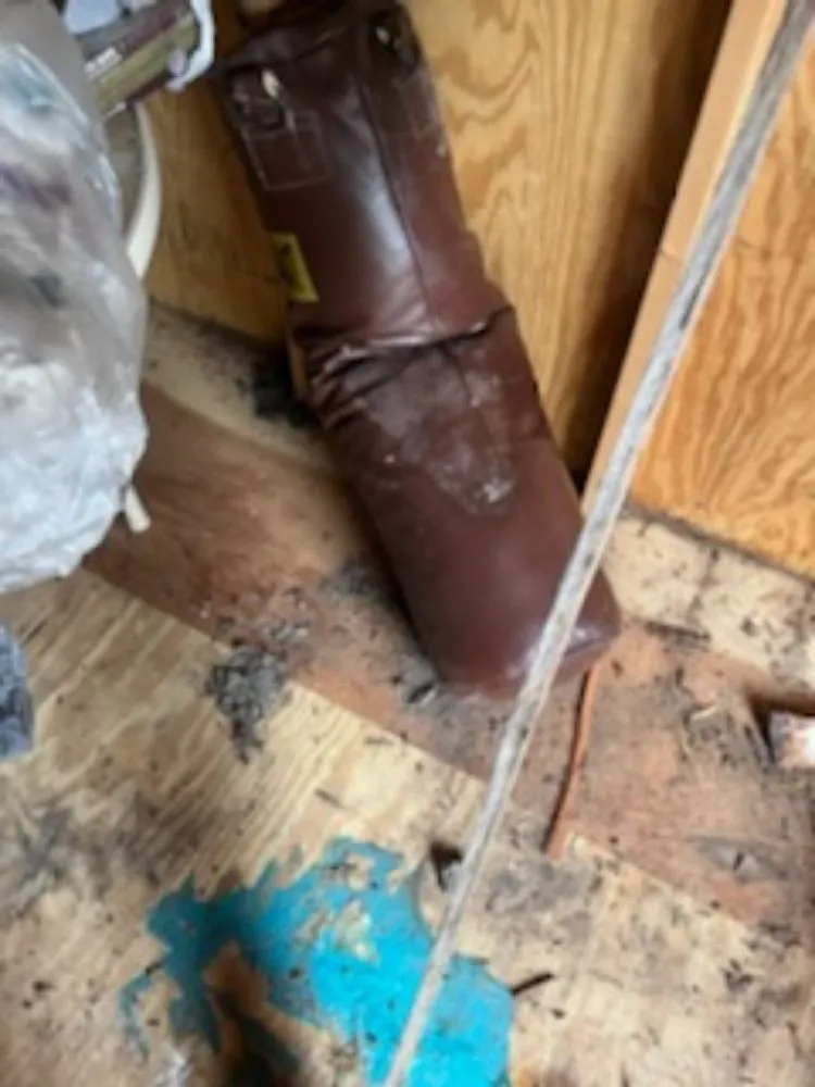 Top-rated landscaping services for year-round maintenance across Seattle, WA - B White Lawn Service