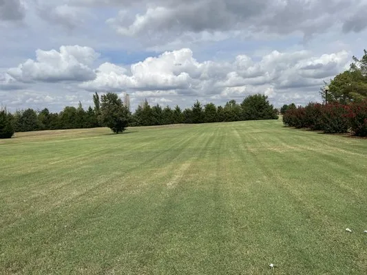 B23 Lawn Maintenance Logo