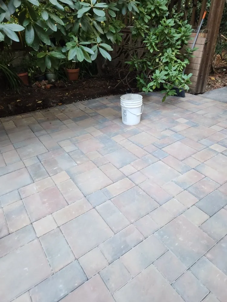 Expert yard maintenance experts serving Redwood City, CA - B3 Landscaping