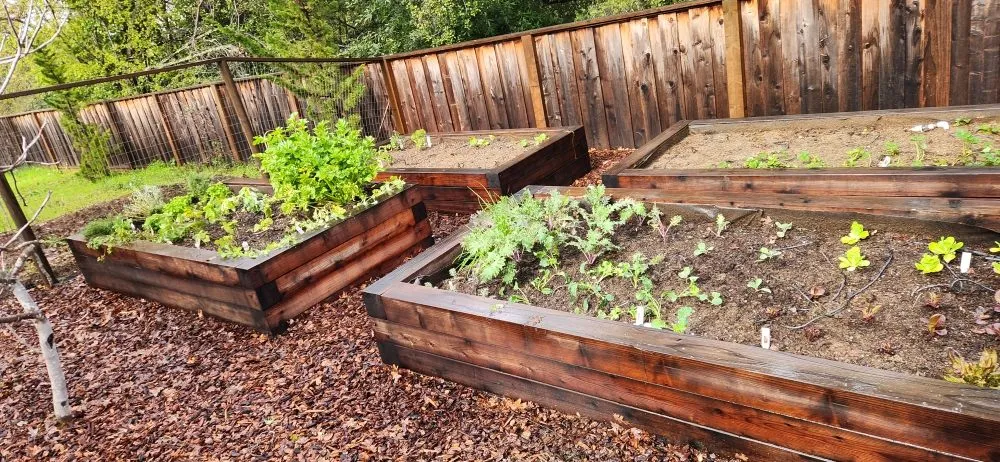 Professional landscape installation near you in Redwood City, CA by B3 Landscaping