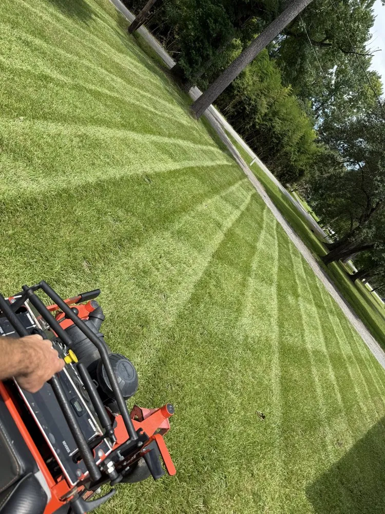 Top-rated yard cleanup service experts serving Newton, TX - B3 Lawncare